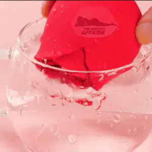 Rosette Vibe Rose Vibrator